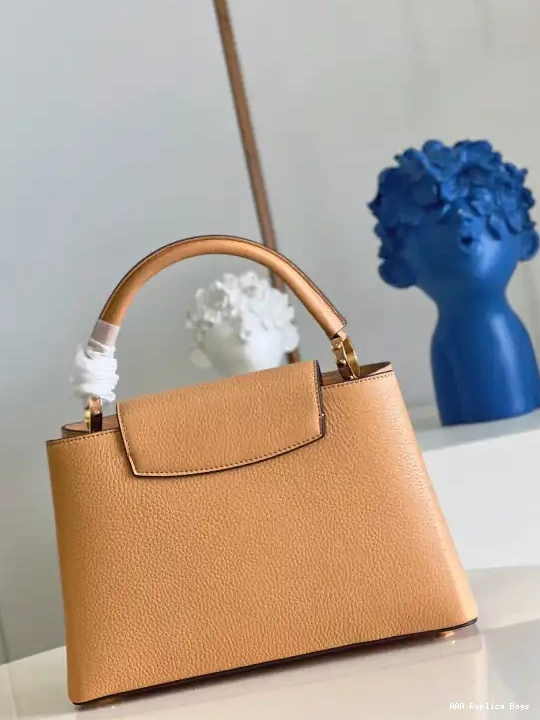 Aaa replica ru VUITTON CAPUCINES LOUIS MM 0609